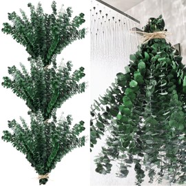 Knitgrip 60 Pcs Large Dried Eucalyptus Stems 17inch Natural Real Fresh Eucalyptus Branches for Shower Hanging Fresh Plant Greenery Leaves for Wedding Bathroom Vase Filler DIY Garland Decor