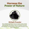 Go Nutra Shilajit Powder Pure Himalayan Shilajit 40% Fulvic Acid