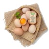 Top label Fresh Farm Egg Handling Instruction Cards,2x3.5 Inch Double-sided