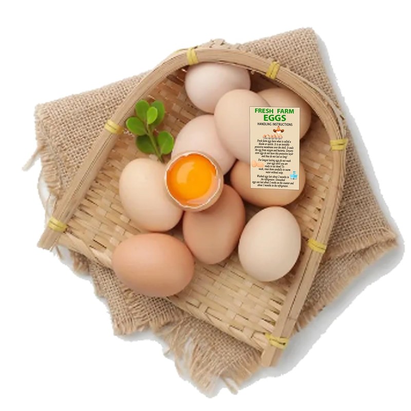 Top label Fresh Farm Egg Handling Instruction Cards,2x3.5 Inch Double-sided