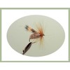 12 Special Dry Trout Flies, Black Horn Sedge, G &