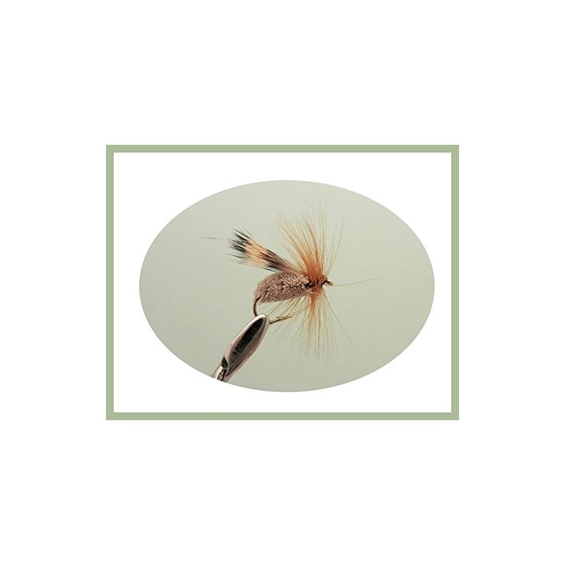 12 Special Dry Trout Flies, Black Horn Sedge, G &