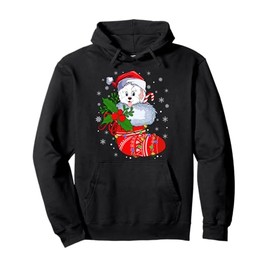 Havanese Dog In Christmas Socks Lights Xmas Pullover Hoodie