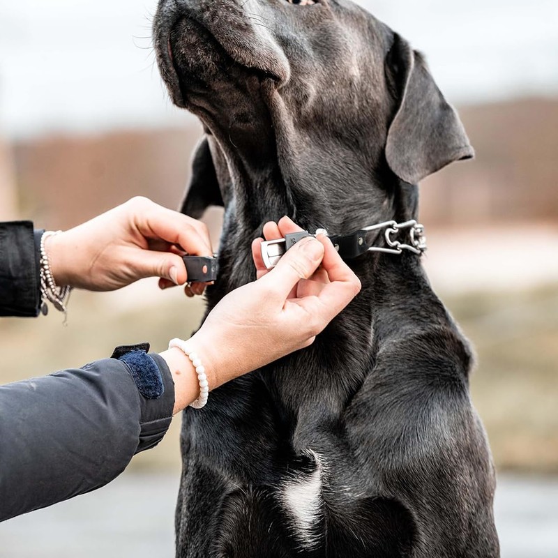 Herm Sprenger 2.25mm Prong Collar for Dog Training with Adjustable