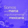 Bienat | Aceite Masaje Relajación 240ml | Lavanda, Naranja e