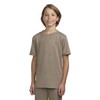 Hurley Boys' Soft Basic T-Shirt, Rattan Heather