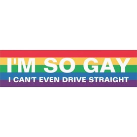 I'm So Gay Sticker, Funny  Sticker, Prank  Bumper Decal - 10 inches - Color: 6in
