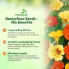 Outsidepride Jewel Mix Nasturtium Seeds - 5 lbs. Annual, Easy