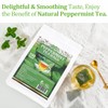 Premium Peppermint Tea Bags, 100 Tea Bags, Made with 100%