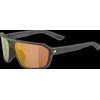 Alpina Swift Sunglasses, Matte Black/Gold, One Size