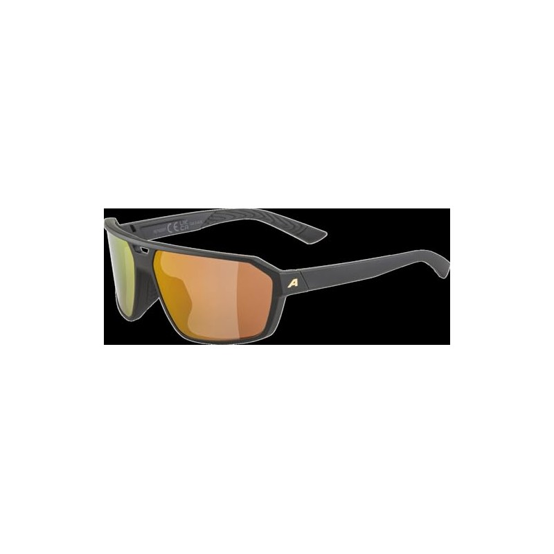 Alpina Swift Sunglasses, Matte Black/Gold, One Size