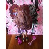 Monster High Sweet 1600 Clawdeen Wolf Doll