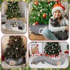 Soulchen Christmas Cat Tunnel Bed Under Xmas Tree 3ft x
