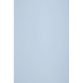 Netuno 50 Sheets of Craft Paper Light Blue DIN A4 210 x 297 mm 80 g Circolor Hibiscus Coloured Paper A4 Blue Ecological Copy Paper Green Double-Sided Drawing Paper Sketch Paper Multifunctional Office