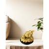 Feng Shui Money Frog (Three Legged Toad) Hold Two Ignots