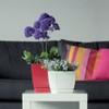 Prosper Plast DUKP120-S449 12 x 12 x 11cm Coubi Flowerpot