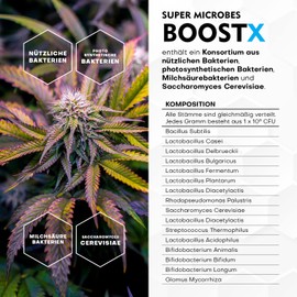 SUPER MICROBES Super Microbes Boostx (150GR) - Grünpflanzendünger mit Mykorrhiza und Effektiven Mikroorganismen - Hochleistungs-Zimmerpflanzen Dünger für bis zu 10-fache Ernteerträge