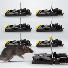 Rataton Traditional Mousetrap Indoor and Outdoor use Kills Immediately Without Making The Rat Suffer Without Poison, it is Reusable and contactless. with Powerful Spring That impacts Strongly. 6 Pack