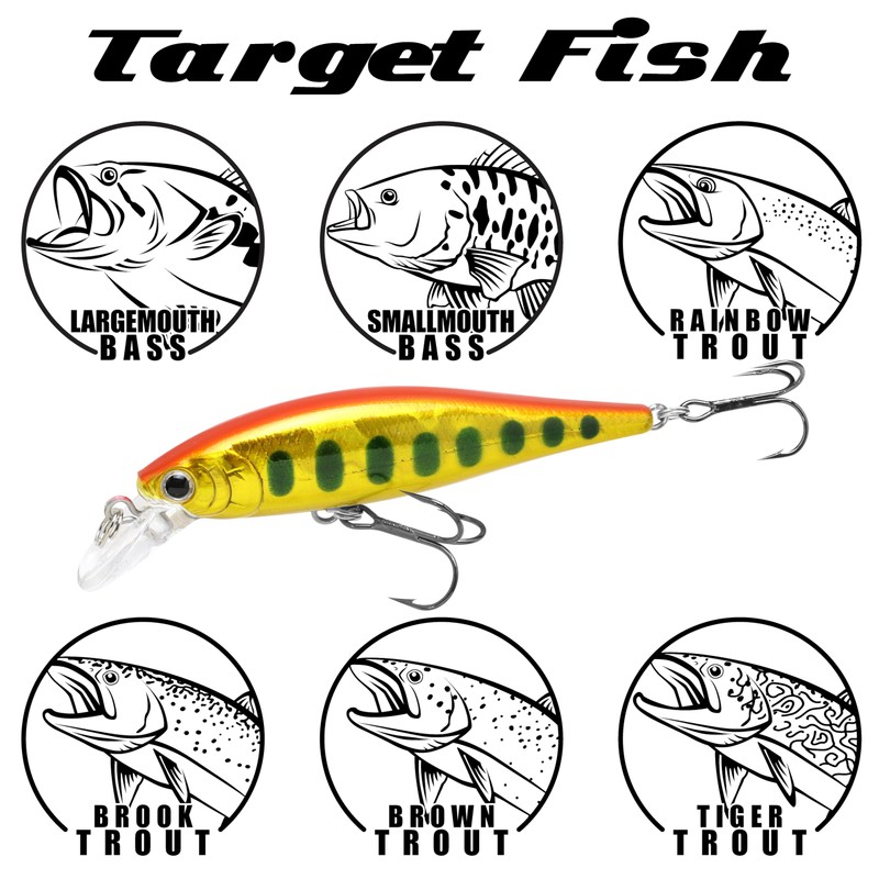 LUCKY CRAFT Pointer SP 65 mm Wobbler Lure Artificial Bait