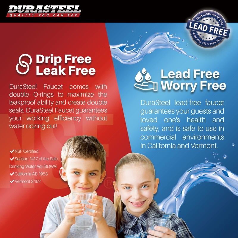 DuraSteel Commercial Kitchen Sink Faucet - No Lead 8" Center