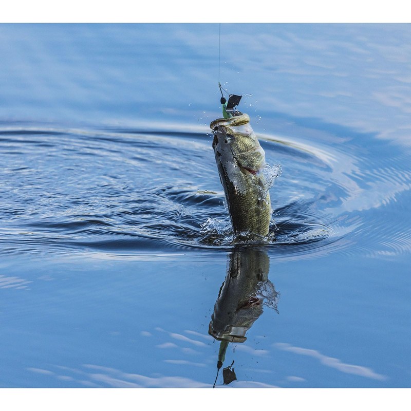 Buckeye Lures G-Buzz Bait 1/4 OZ. / Black W/Black Blade