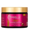 Mielle Organics Pomegranate & Honey Twisting Soufflé, Sulfate and Paraben