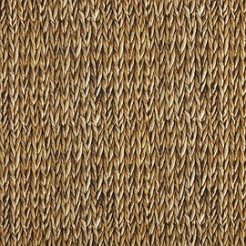 Kt KILOtela - Half Panama Canvas Digital Print, Organic Cotton, Standard 100 by Oeko-Tex, Width 280 cm, Choice of Length 50 in 50 cm, Willow Milchwi, Brown