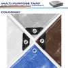 Windscreen4less 20' x 30' Heavy Duty 10 Mil Waterproof Silver