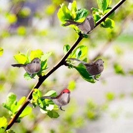 DOITOOL 4 Pcs Artificial Birds for Decoration Realistic Small Faux Birds for Crafts Spring Garden Clip on Tree Ornaments (Color Random)