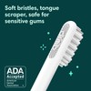 Quip Sonic Toothbrush for Adults - Timed Electric Toothbrush with