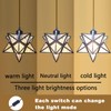 JLOWCO Plug-in Moravian Star Pendant Light with 16.5ft Cord and