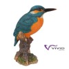 Kingfisher on a Stump, Wild Bird Collection by Vivid Arts