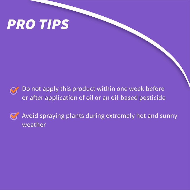 Bonide Fung-onil Multi-Purpose Fungicide, 16 oz Concentrate for Plant Disease