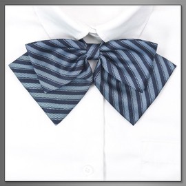 [バズ セレクション] 蝶ネクタイ ネクタイ ストライプ 制服 パーティー 学生 コスプレ アクセサリー レディース AC396(ターコイズ)