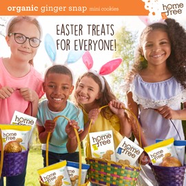 Homefree Mini Ginger Snap Cookies, Organic, Gluten Free, Nut Free, Vegan, Individually Wrapped Packs, School Safe and Allergy Friendly Snack, 0.95 oz. (Pack of 10)