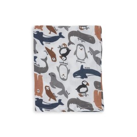 Jollein 536-848-65349 Hydrophilic Face Cloths Hydrophilic Polar 3-Pack Multicoloured, 35 g