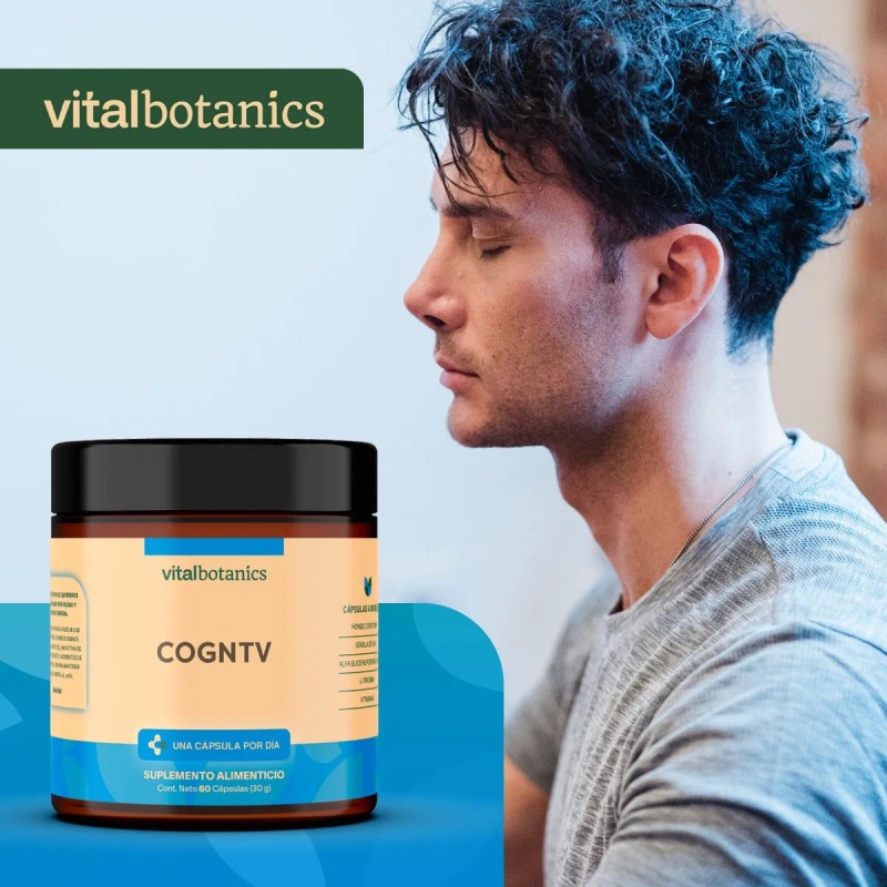 Vitalbotanics Nootropico Con Hongo Melena Leon Con 60 Caps Sabor