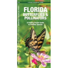 Florida Butterflies & Pollinators: A Folding Pocket Guide to Familiar Species (Nature Observation North America)