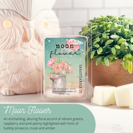 Clean Soy Blend Wax Melts Candle Decor with 50  including holiday favorite fragrances, smokeless fragrance for your home   Freshener Scented - Scent: Moonflower