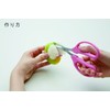 Hamanaka H441-478 Wool Felt Kit, Wool Bonbon, Ham-chan and Round