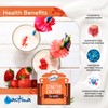 Kefir Starter Culture Kefir Ferment Kefir Culture Powder Healthy Stomach