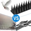 BORHOOD Bird Spikes, 20 Pack Pigeon Deterrent for Small Birds