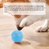 Smart Interactive Dog Ball Toy with LED Lights IP54 Waterproof