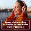 Niacina Vitamina B3 90 Cápsulas De 500 Mg Flow