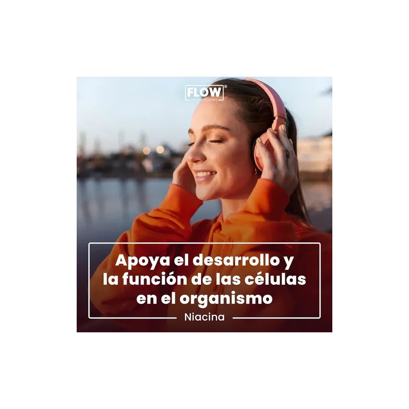 Niacina Vitamina B3 90 Cápsulas De 500 Mg Flow