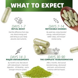 Moringa Powder Capsules 1200mg - 120 Pills | Pure Moringa Oleifera Leaf Powder Supplement | Ultra Potent Green Superfood Capsules | High Strength Super Greens Pills | Non-GMO, Vegan, Gluten-Free