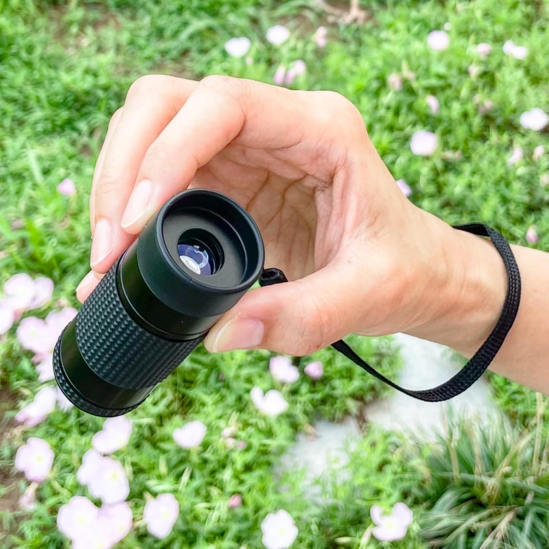 Close-up Monocular Designed for Low Vision Users who are Visually