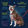 2 Hounds Design Freedom No Pull Dog Harness, Adjustable Harness