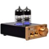 DollaTek 6J3 Vacuum Tube Integrated Amplifier Mini Stereo HiFi Headphones