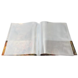 Pathfinder Role Playing Game Second Edition Red Dragon Character Folio to Hold 12 Character Sheets